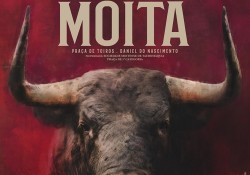 MOITA DO RIBATEJO - OS TOIROS DE PALHA PARA A CORRIDA DE DOMINGO 